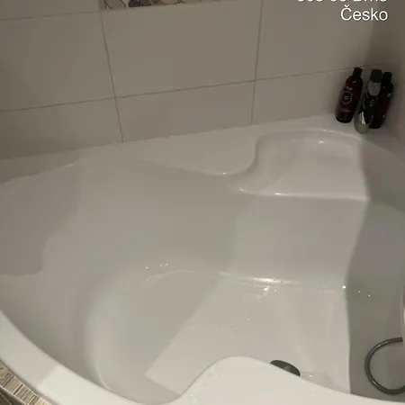 Great Flat Near The Center Brno